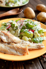 Wall Mural - Roasted cod with fresh radish, lettuce and arugula salad