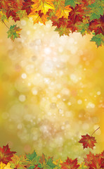 Wall Mural - vector autumnal leaves on bokeh background.