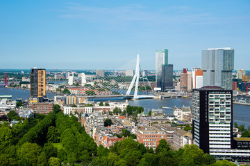 Fototapete - Panorama von Rotterdam mit Erasmusbrücke, Holland 