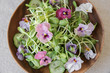Sunflower sprouts, cucumber and edible flowers salad, vegan food