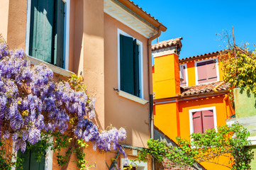 Wall Mural - Colorful houses in Burano island near Venice, Italy