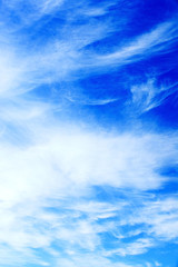 Wall Mural - blue sky