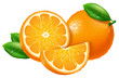 Oranges, slices and whole. Vector illustration.