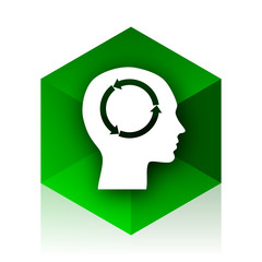 Aufkleber - head cube icon, green modern design web element