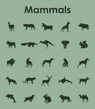 Set of mammals simple icons