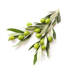 green olives branch isolated on white background