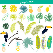 Tropic Clipart Vector Set. Toucan Birds, Pineapples, Jungle And Banana Leaves. Monstera Palm Tree Branches.