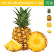 Pineapple on white background. Vector illustration