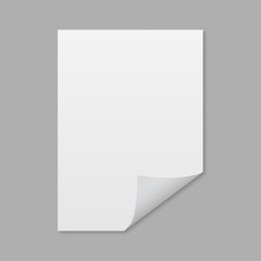Wall Mural - empty sheet of paper with the shadow mockup style