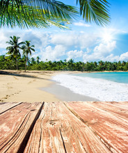 Summer Holiday Background / Invitation To Relax And Dream: Wooden Plank And Palm Tees In A Perfect Carribbean Landscape :)
