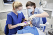 © Syda Productions - dentists treating male patient teeth at clinic
