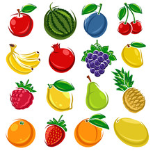 Collection Of Fruits Set. Vector Illustration
