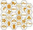 icons bee and honey in comb