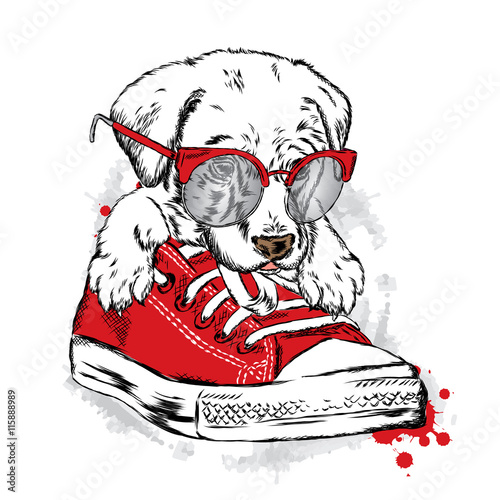 Fototapeta dla dzieci Słodki szczeniak w bucie - wektorowa ilustracja