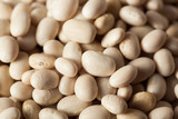 Fototapeta Kosmos - Raw Organic White Navy Beans