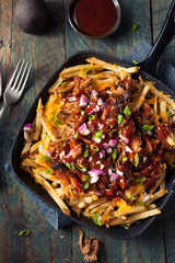 Canvas Print - Homemade BBQ Pulled Pork French Fries