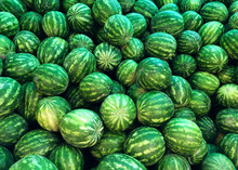 Watermelons Background