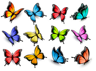 Poster - Collection of colorful butterflies, flying in different directio