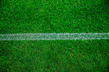 Football/soccer field fresh grass background, texture