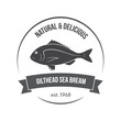 Vector gilthead sea bream, sparus aurata, dorado emblem, label. Template for stores, markets, food packaging. Seafood illustration.
