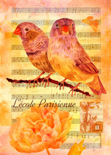 Vintage Collage With Birds, Butterfly, Peony, Sheet Music, French Stamp With Vintage Violin