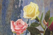 A Yellow And Pink Rose