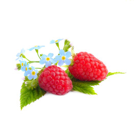 Wall Mural - Ripe red raspberries isolated on white background