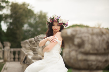 Gorgeous romantic gentle stylish beautiful caucasian bride on the background ancient baroque castle