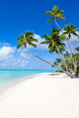 Wall Mural - urlaub am strand