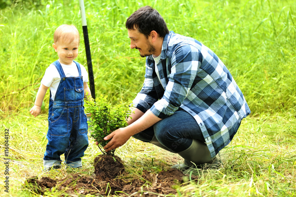 Cute baby boy planting tree with parent in garden