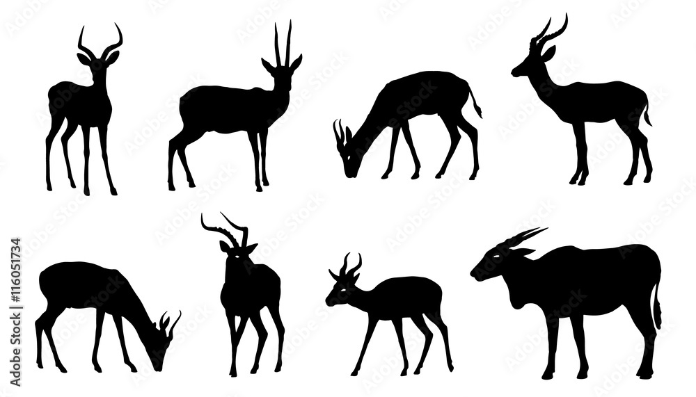 antelope silhouettes - obrazy, fototapety, plakaty 