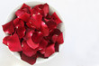 Red Rose Petals with space for text