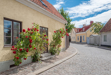 Medieval street in the historic Hanse town Visby on Swedish Baltic sea island Gotland