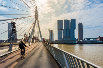 erasmusbrücke in rotterdam, holland