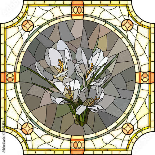 Obraz w ramie Vector illustration of flower crocus.
