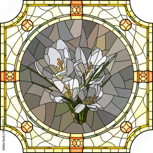 Naklejka nad blat kuchenny Vector illustration of flower crocus.