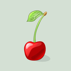 Wall Mural - Juicy and ripe red cherry. Vector illustration