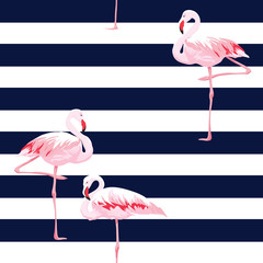 Wall Mural - Pink flamingo seamless pattern with stripes