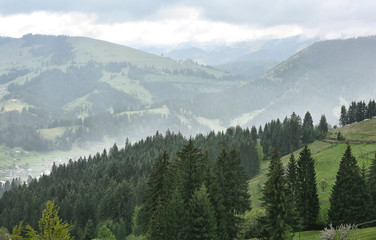 Wall Mural - View of foggy mountains