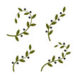 Isolated olive branch vector logo set. Oil logotypes collection. Peace day.