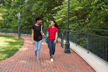 Wall Mural - 2 young african american college student chatting on campus