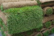 close up on stacking turf sod carpet