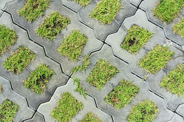 grass cement brick road pattern background architecture detail