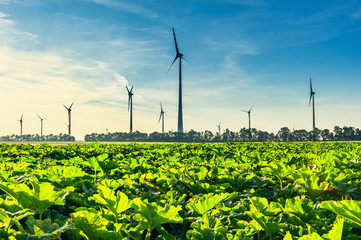 Wind Turbines