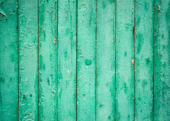 Green wood background