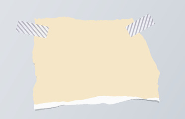 Poster - Brown ripped blank note paper are stuck with sticky tape on gray background