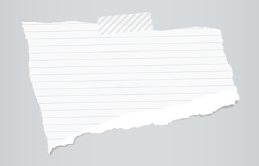 Poster - White ripped ruled note paper are stuck with sticky tape on gray background