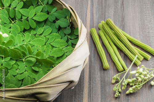 Moringa leaf and flower. moringa leaf and flowers