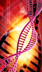 Poster - 3d DNA structure