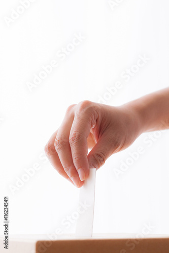 投票する女性 腕 Stock Photo Adobe Stock